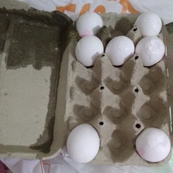 Migros Ve Kırık Yumurtalar
