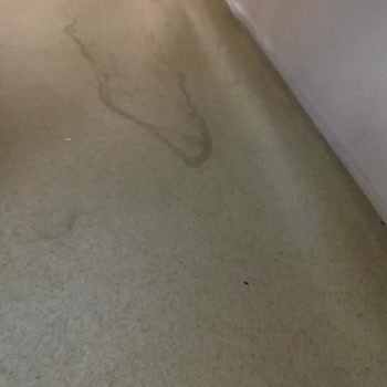 Toros Devlet Hastanesi Hijyen Ve Yemek Sorunu