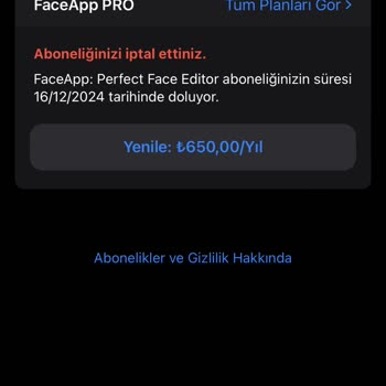 FaceApp Paramın Geri Ödenmesi