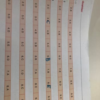 Yayın Denizi Yanlış Cevap Anahtarı