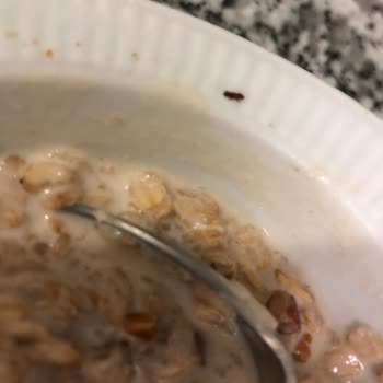 Peyman Bahçeden Müsli Böceklenme