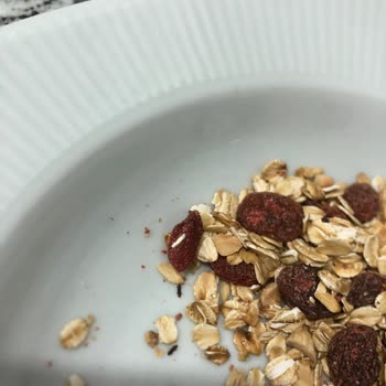 Peyman Bahçeden Müsli Böceklenme