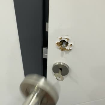 GreenDoor Gebze Green Door Kağıttan Kapı