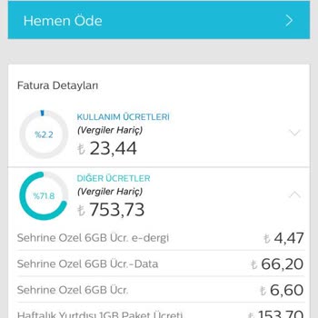 Türk Telekom Yurt Dışı Paket Sorunu