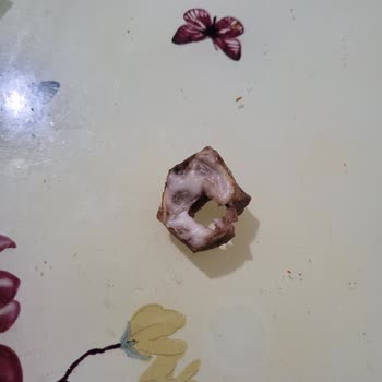 Maydonoz Döner Gelen Siparişin Tadı VR Kokusu