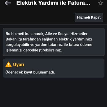 E-Devlet (Turkiye.gov.tr) Elektrik Desteği Faturamı Ödeyemiyorum