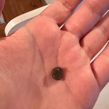 Farmina N&D Kedi Mamasından Ucu Sivri Bir Şey Çıktı
