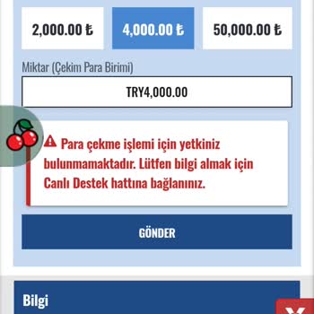 Pulibet Ödeme Alamama Hesabın İncelenmeye Alınması