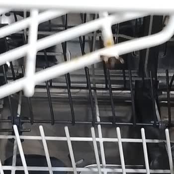 Arçelik Bulaşık Makinesi Sepet Paslandı