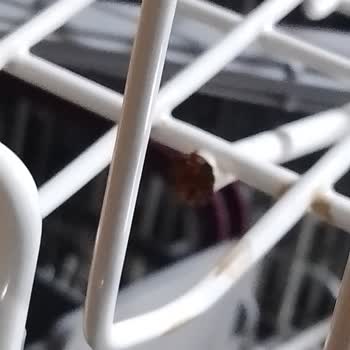 Arçelik Bulaşık Makinesi Sepet Paslandı