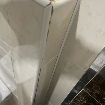 DASK (Doğal Afet Sigortaları Kurumu) Deprem Sonrası Mağduriyet Ve Düşük Hasar Bedeli