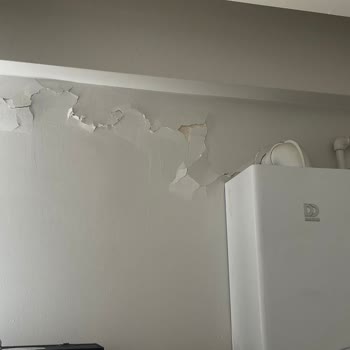 DASK (Doğal Afet Sigortaları Kurumu) Deprem Sonrası Mağduriyet Ve Düşük Hasar Bedeli