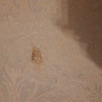 Bulut Halı Yıkama (İstanbul) Halı Yıkama Hüsranı