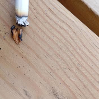 Philip Morris Sigaradan Odun Parçası Çıktı