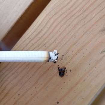 Philip Morris Sigaradan Odun Parçası Çıktı