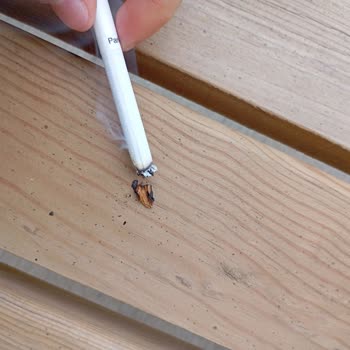 Philip Morris Sigaradan Odun Parçası Çıktı