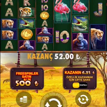 Betist Hesabımdaki Para Silindi Oynamadan