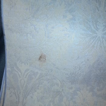 Bulut Halı Yıkama (İstanbul) Halılar Lekeli Geldi