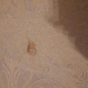 Bulut Halı Yıkama (İstanbul) Halılar Lekeli Geldi