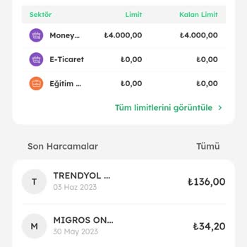 MoneyPay Ve Kredim Saçma Sistemi