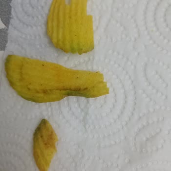 Ketçaplı Ruffles Cips Yeşil Yeşil Çıktı