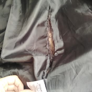 DeFacto İncelemeye Gönderilen Kaban