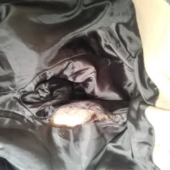 DeFacto İncelemeye Gönderilen Kaban