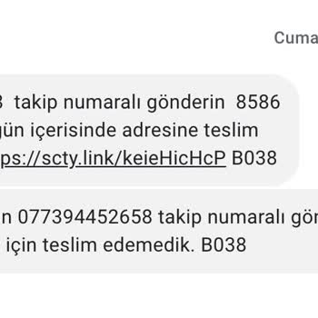 Scotty Evde "arayıp" Bulamadıklarından Teslim Edilmeyen Kargo!