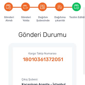 Sürat Kargo By Lizard Araç Brandası
