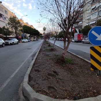 Antalya Büyükşehir Belediyesi Refüj Yaya Yolu