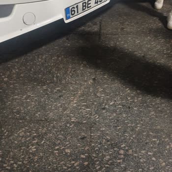 Kamil Koç Lokum Paketim Nerede?