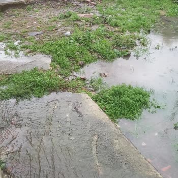 Keşap Belediyesi Su Birikintisi Yağmurlu Havalarda