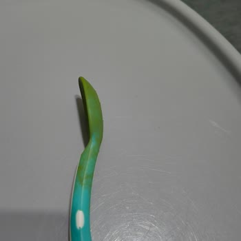 Mycey Renk Alan Mama Kaşığı