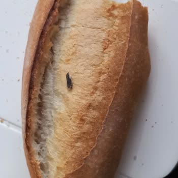 Şok Marketler Şok Marketten Aldığım Ekmeğin İçinden Odun Parçası Çıktı