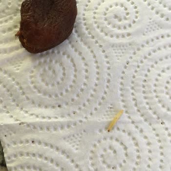 Migros Bozuk Kurtlu Ürün Satışı!