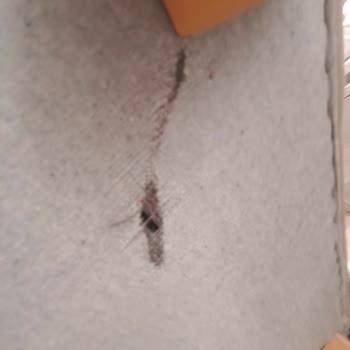 Evkur Alışveriş Servisin Gelmemesi Aramamıza Rağmen Gelmiyorlar