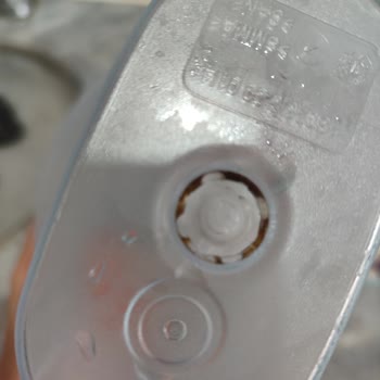 Brita Sürahi Yosun Sorunu