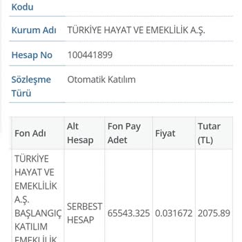 Türkiye Hayat Emeklilik BES İptali Yapılamıyor