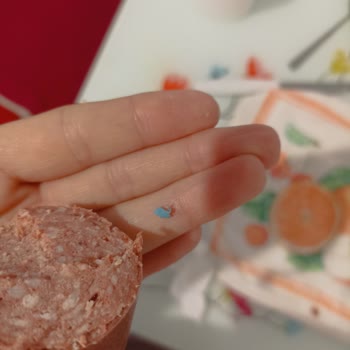 Torku Sucuk İçinden Plastik Çıkması