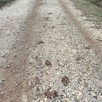 Şanlıurfa Büyükşehir Belediyesi Yarım Kalan Yol Çalışması Sorunu