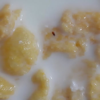 Şok Marketin Kranky Markasi Mısır Gevreğinden Böcek Çıkması