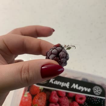 File Market Dondurulmuş Meyvede Hijyen Şüphesi!