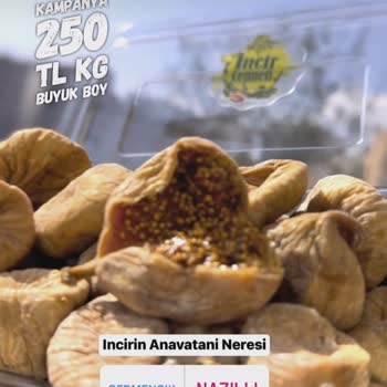 incircenneti Çürük İncir Satışı