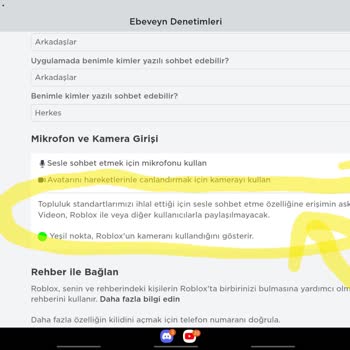 Roblox Voice Chat Ban