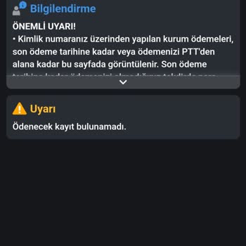 E-Devlet (Turkiye.gov.tr) Elektrik Yardımın Geri Çekilmesi
