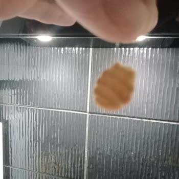 BİM Krınkıl Marka Balık Krakerin İçinden Koca Bir Kıl Çıktı