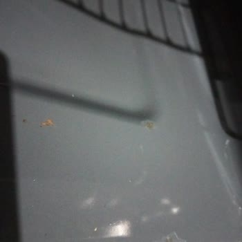 Arçelik Buharlı Pişirme Yapan Fırın