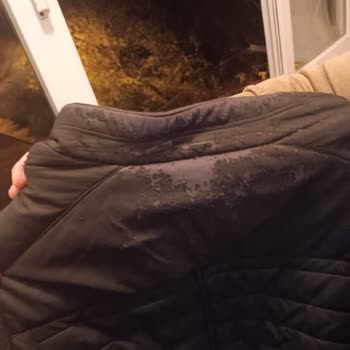 LCW Mont Şunu Deri Dökülmesi