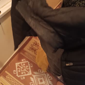 LCW Mont Şunu Deri Dökülmesi