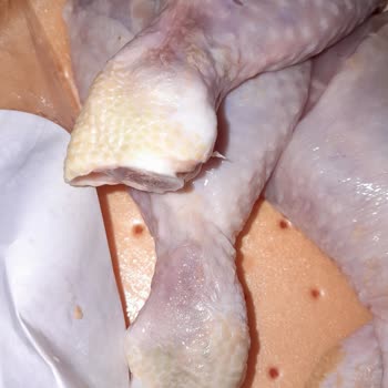 istegelsin Aldığım Tavuk Ürünleri Bozuk Çıktı Ağır Kokuyor